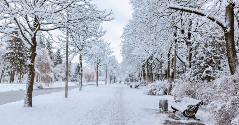 Emergency Winter Prep for Seniors: How to Stay Safe During Storms and Power Outages