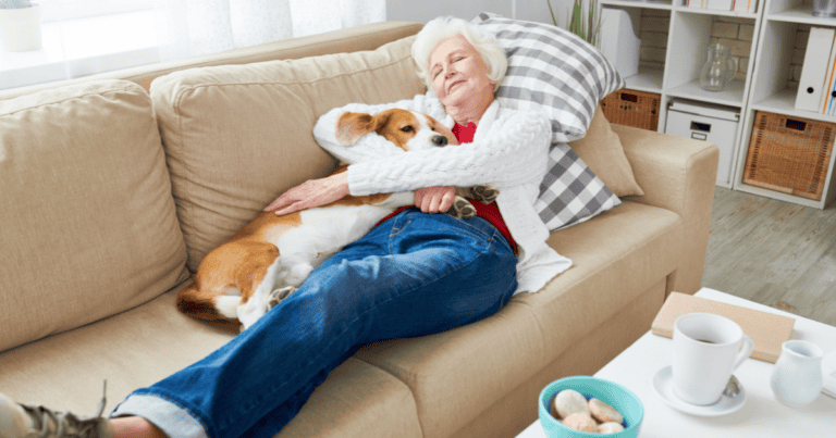 The Morning Nap: A Hidden Health Signal or Just a Cozy Habit?
