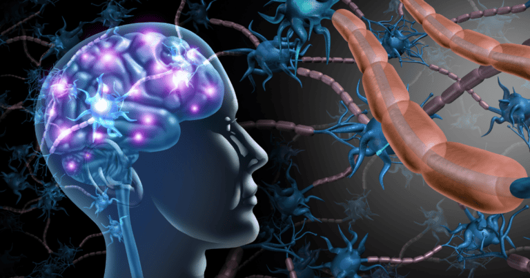 The Vagus Nerve: Your Body’s Hidden “Reset” Button for 2026