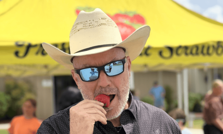 Strawberry Festival Fun, April 20