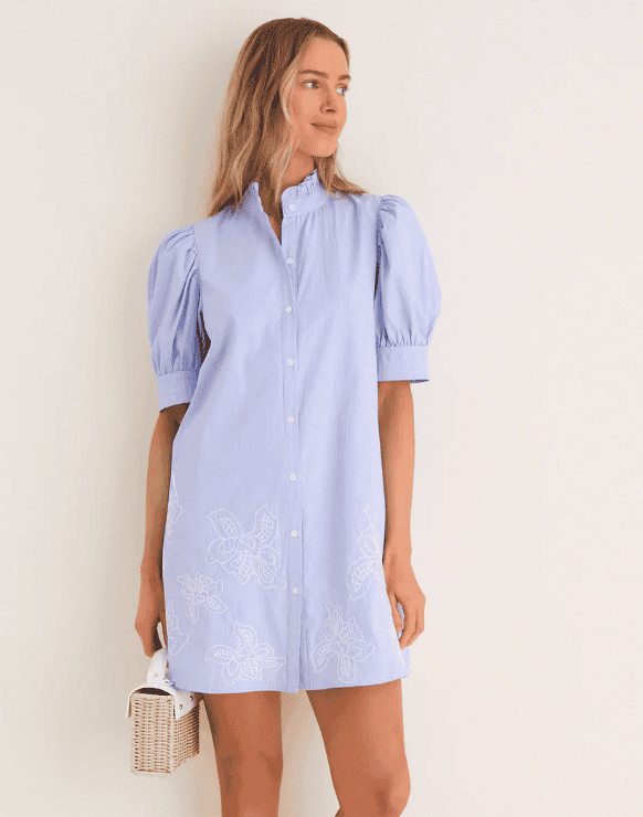 Tuckernuck Blue Embroidered Pinstripe Louisa Mini Dress $158