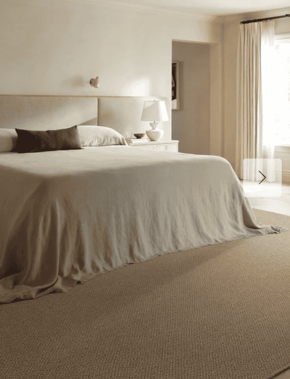 Ruggable Rug