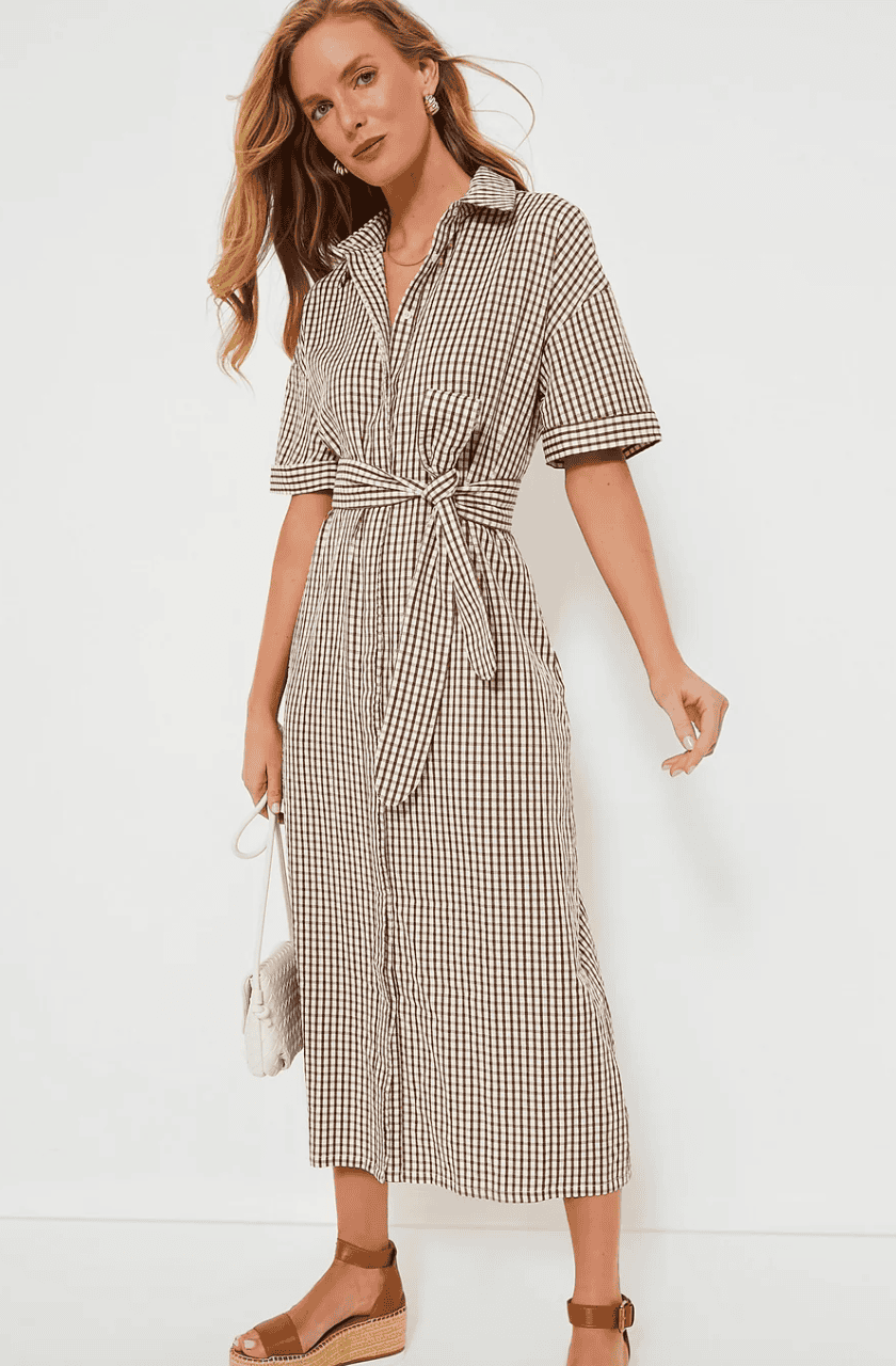 Tuckernuck Brown Gingham Zacara Dress