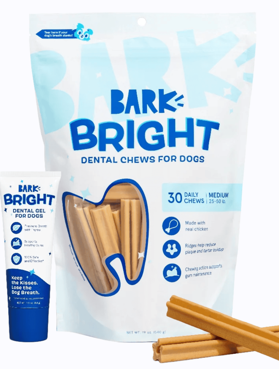 BarkBox Bright Original Dental Kit