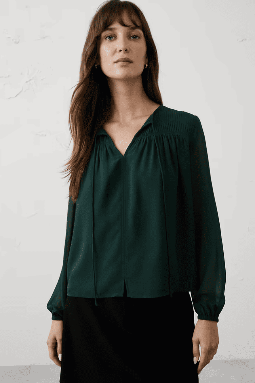 Banana Republic Factory Chiffon Pleat-Release Blouse