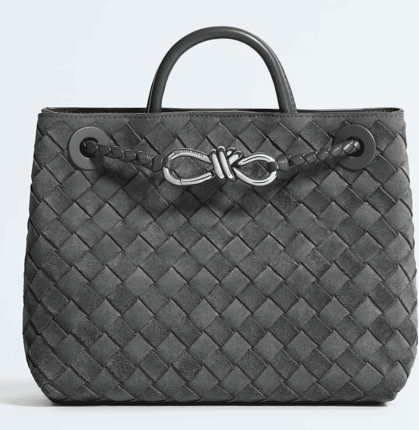 Bottega Veneta Small Andiamo